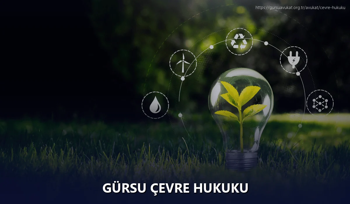 Gürsu Çevre Hukuku