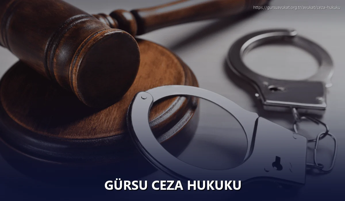 Gürsu Ceza Hukuku