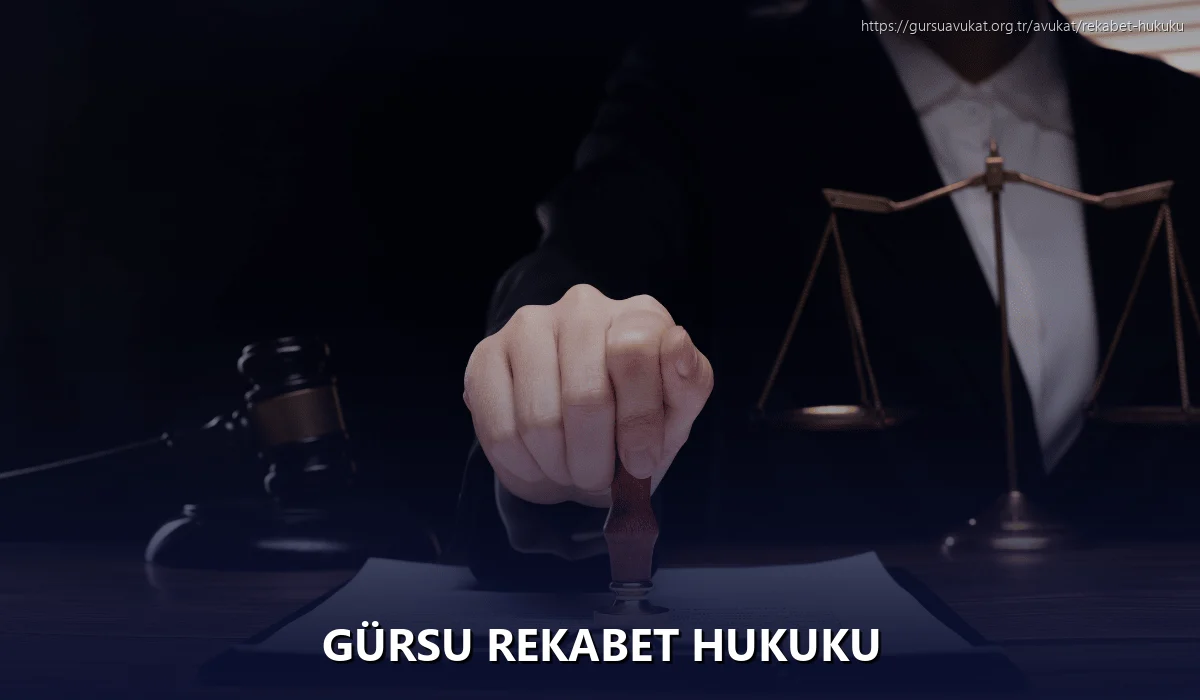 Gürsu Rekabet Hukuku
